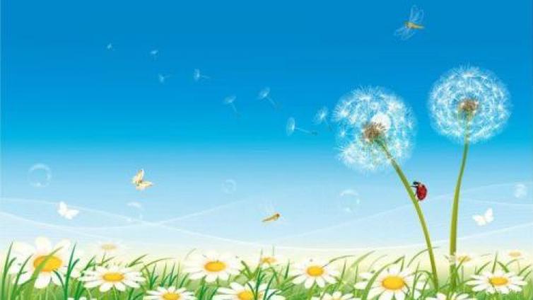 家庭教育：关于习惯的座右铭