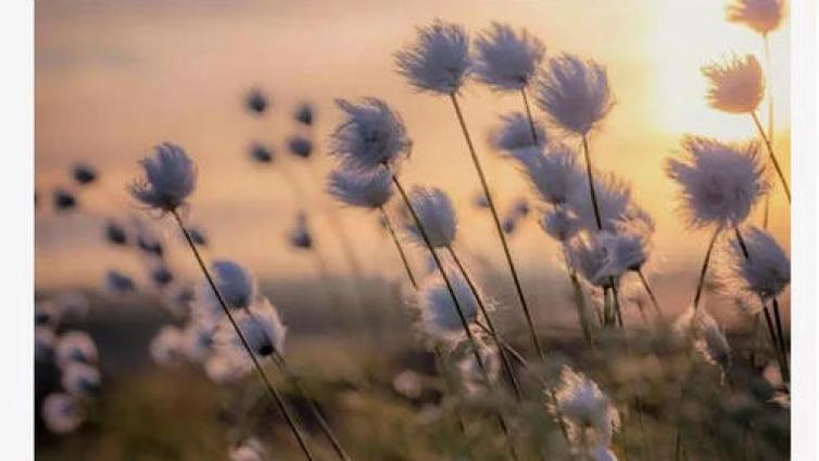 家庭教育：中国家庭的那些浆糊逻辑