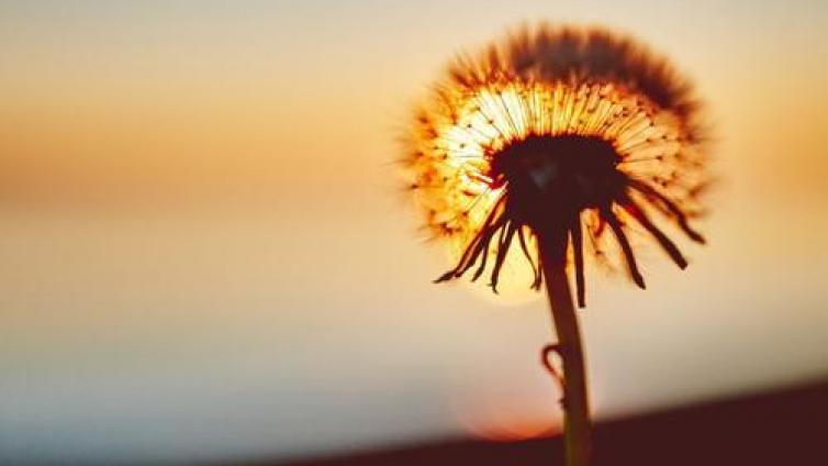 家庭教育：人工智能时代来临，学习力教育正在颠覆当下的教育！