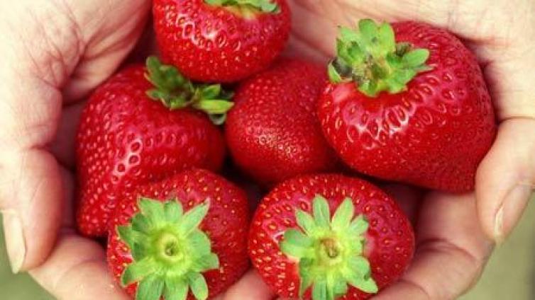 家庭教育：挫折教育 是“草莓族”孩子的成长阶梯