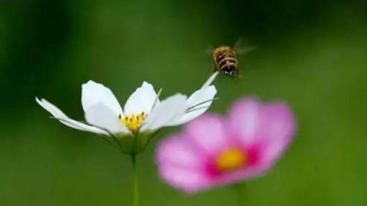 家庭教育：寻找记忆规律—提高孩子的记忆力