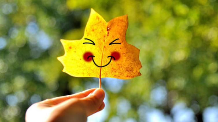 家庭教育：培育宝宝艺术能力的五个措施