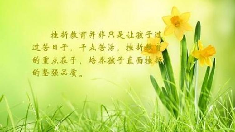 家庭教育：儿童挫折教育 并非就是针尖对麦芒