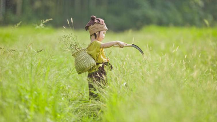 家庭教育：怎样培养孩子的独立性