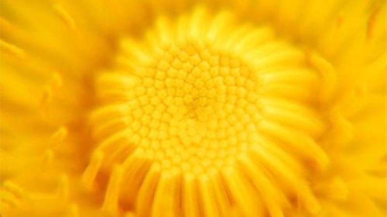 【家庭教育】中考优秀作文开头集锦