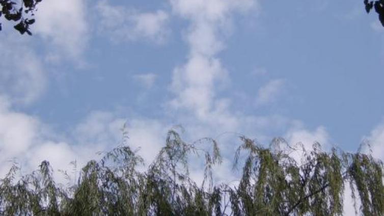 【家庭教育】教育的广度与深度