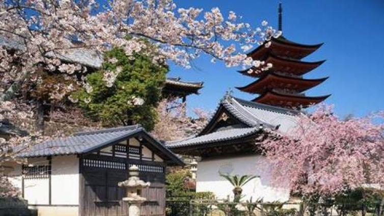 【家庭教育】初中留学日本呈现增长趋势