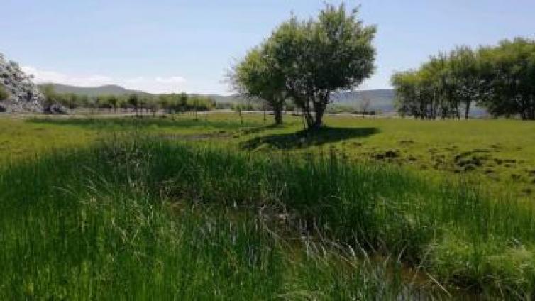 【家庭教育】林清玄：父亲的笑，我还能看多久？