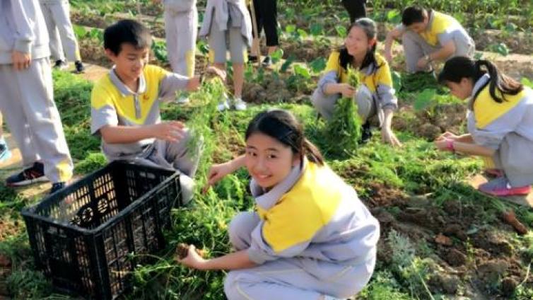 【家庭教育】劳动教育促进完整儿童的发展 