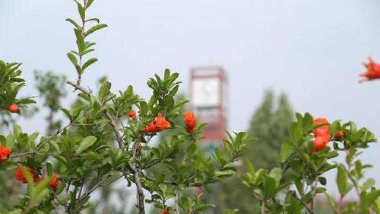 【家庭教育】孙云晓：儿童是研究大人的专家