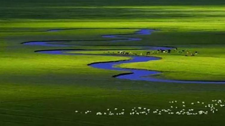 【最智慧家庭教育】培育优秀子女其实并不难，看草原妈妈们如何培养三博士