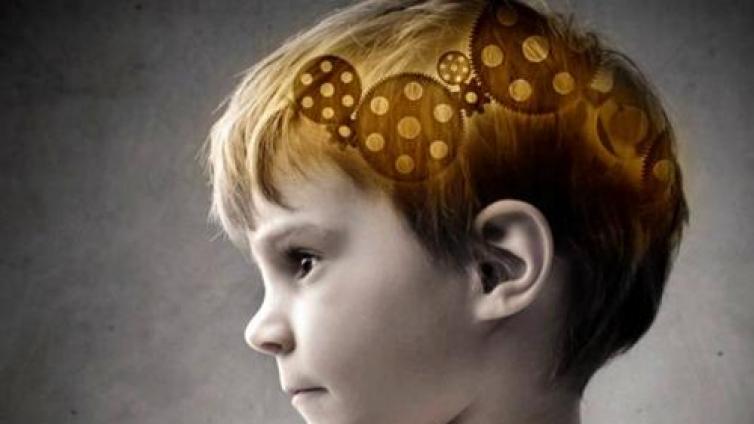 【最智慧家庭教育】如何开发孩子的智力？