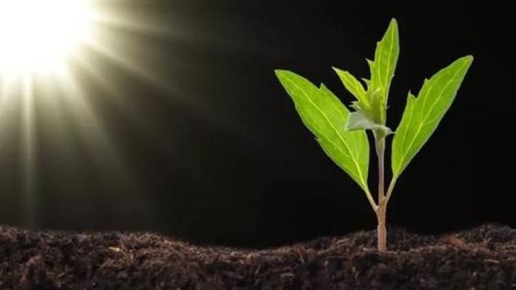 【最智慧家庭教育】家长必知：培养孩子的自我价值，家长须做到三点