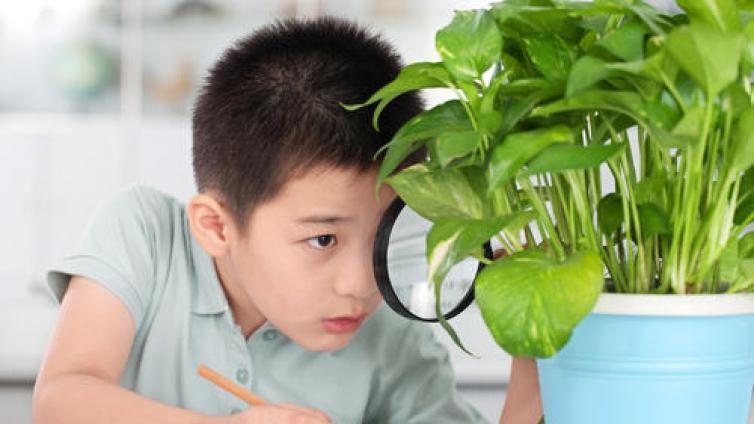 【最智慧家庭教育】把学习变成孩子最喜爱的游戏