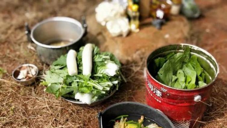 【最智慧家庭教育】孩子需要学习生存技能