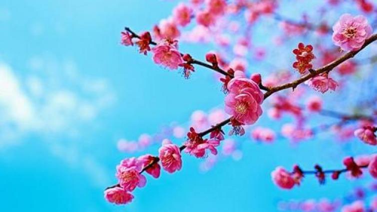 【最智慧家庭教育】父母所谓的幸福不见得是孩子理解的幸福