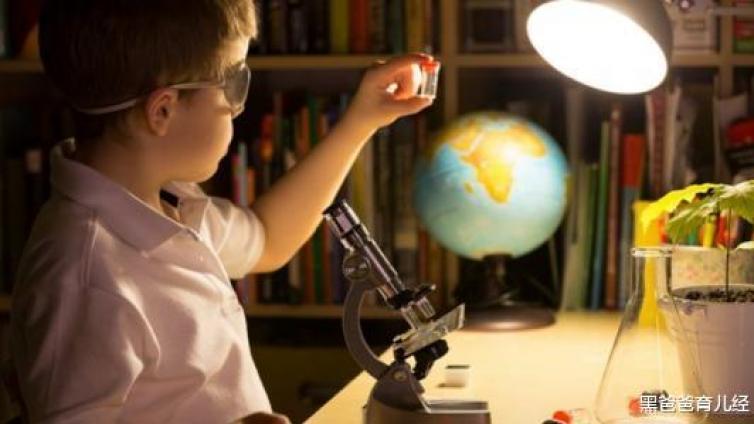 【最智慧家庭教育】父母要善于发现孩子的智力优势