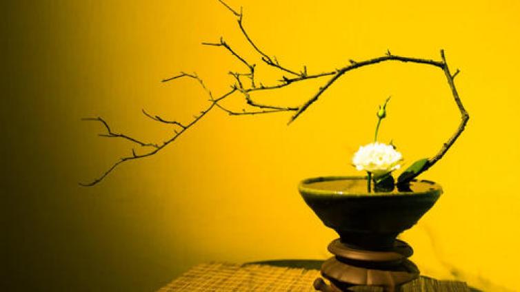 【最智慧家庭教育】老祖宗的智慧：力微休负重，言轻莫劝人