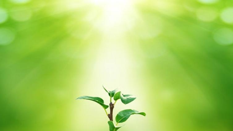 【最智慧家庭教育】关于家庭教育的八个理念