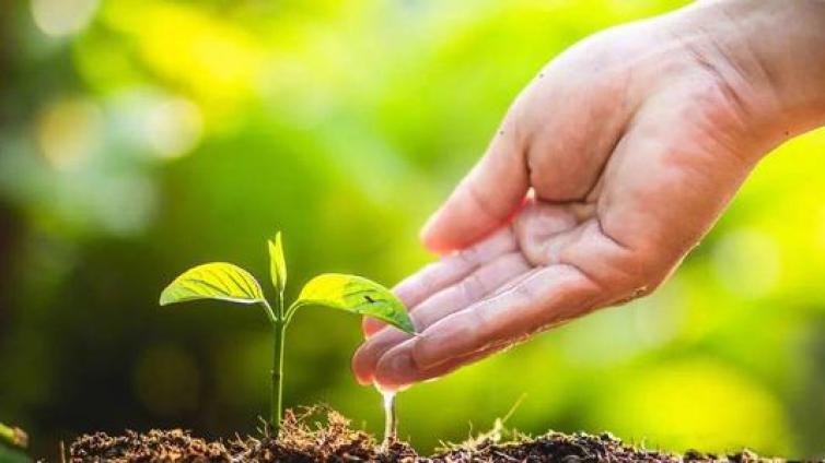 【最智慧家庭教育】孩子们未来喜欢什么工作？这个调查结果颠覆你的思维