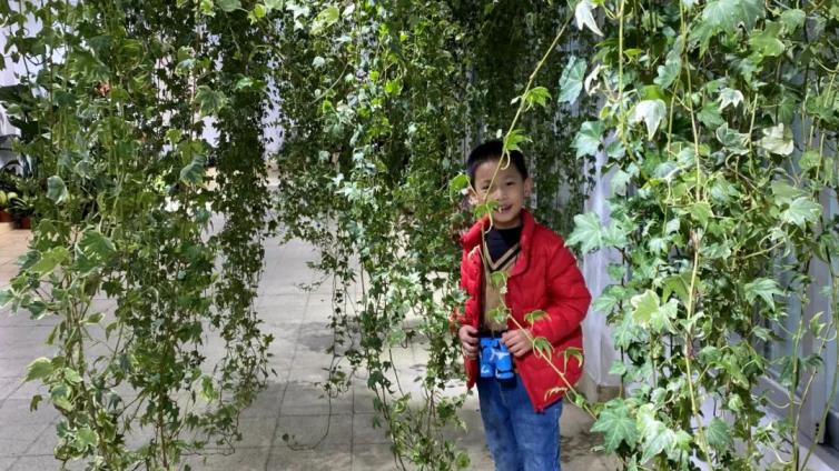 【最智慧家庭教育】父母最不应该把上一代恩怨带给孩子