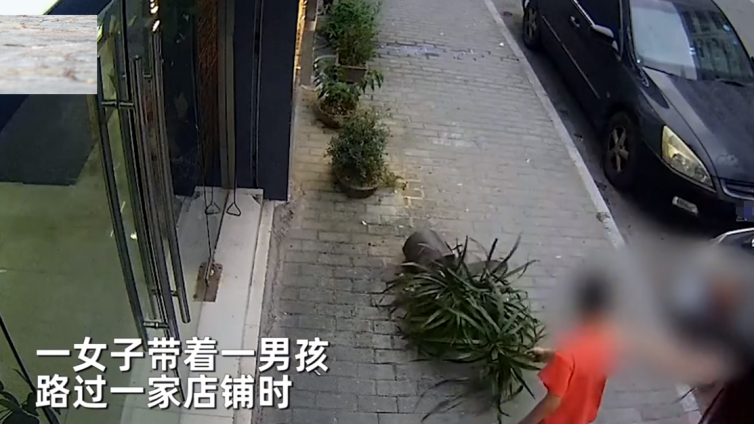 【最智慧家庭教育】差距太大！男孩扯倒店门口的绿植，家长拉起孩子就走，路人做法暖心 