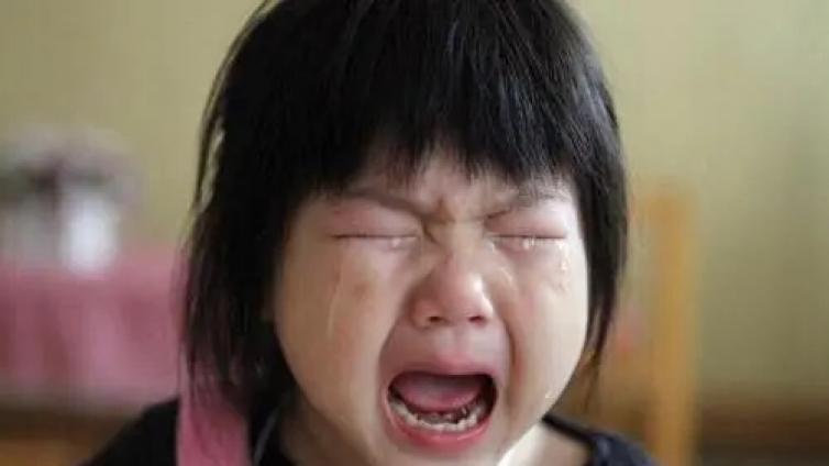 【最智慧家庭教育】2-4岁孩子为啥这么“无理取闹”？Ta正处于秩序敏感期！