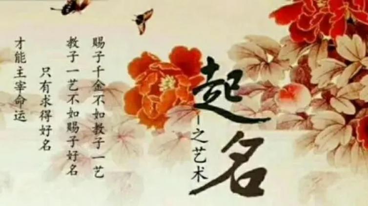 【最智慧家庭教育】20后宝宝名字新变化，家长们起名终于不扎堆了，一个比一个好听 