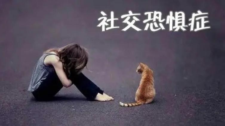 【最智慧家庭教育】超八成大学生存在“社恐”困扰，家长如何从小培养孩子的社交力？ 