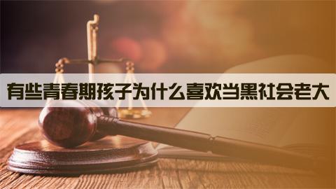 有些青春期孩子为什么喜欢当黑社会老大