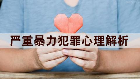 严重暴力犯罪心理解析